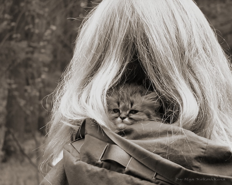 Фото жизнь - Ольга Каплина - Кошки и не только - Маленькое окошко в большой мир