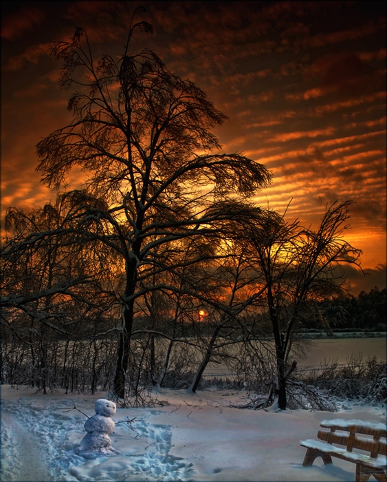 Фото жизнь