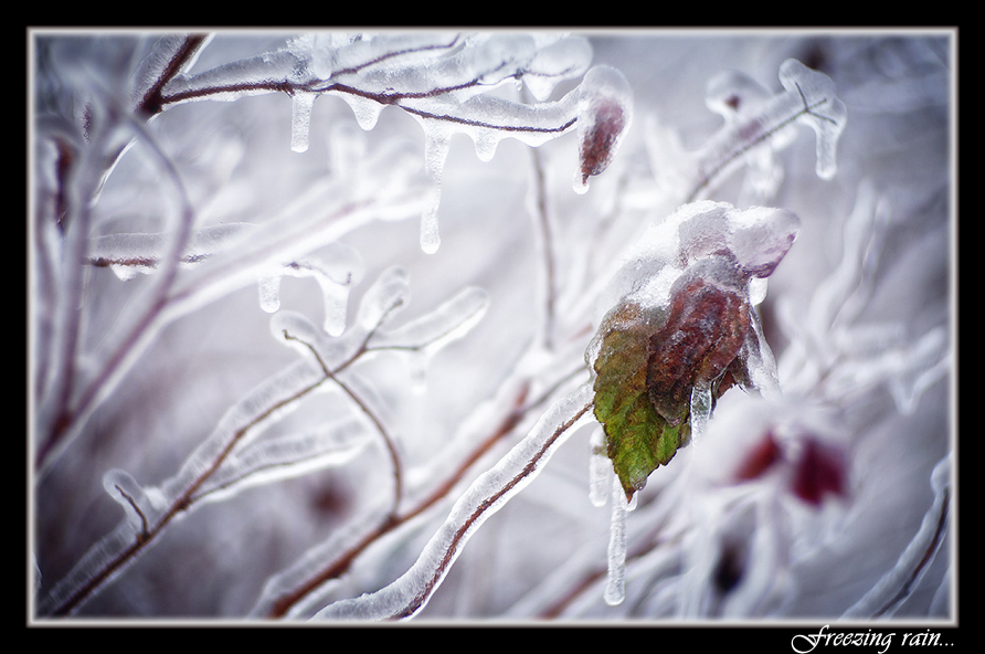 Фото жизнь (light) - MEgBEgb - Прогулки по Москве - Freezing rain...