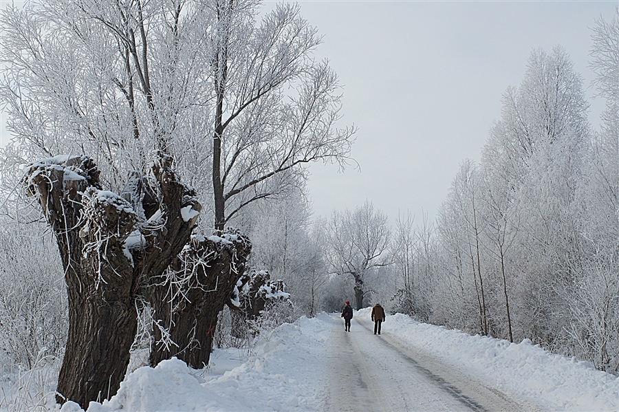 Фото жизнь