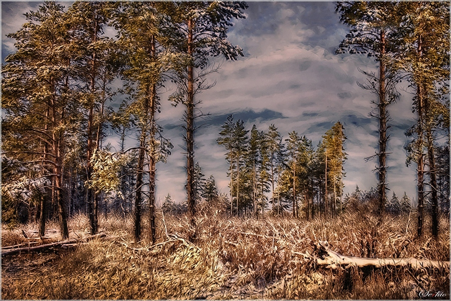 Фото жизнь