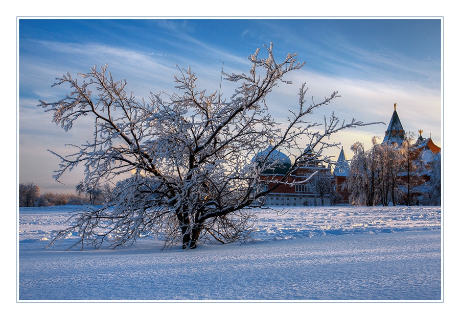 Фото жизнь