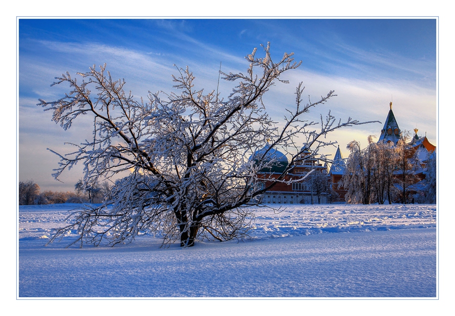 Фото жизнь