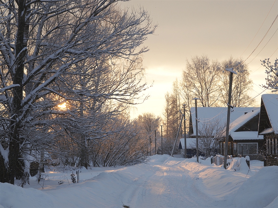 Фото жизнь