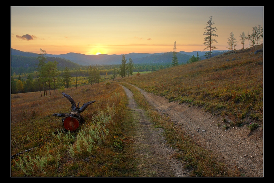 Фото жизнь