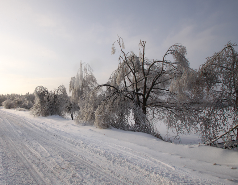 Фото жизнь (light) - Роман Розанов - Пейзаж - Про зимние дороги и хрустальные деревья