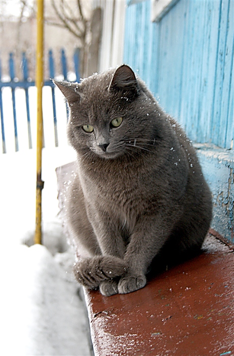 Фото жизнь