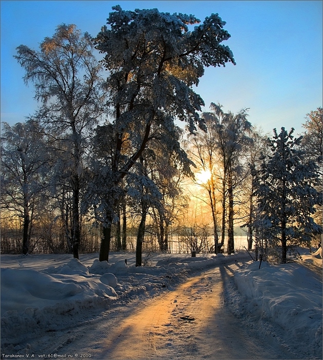 Фото жизнь