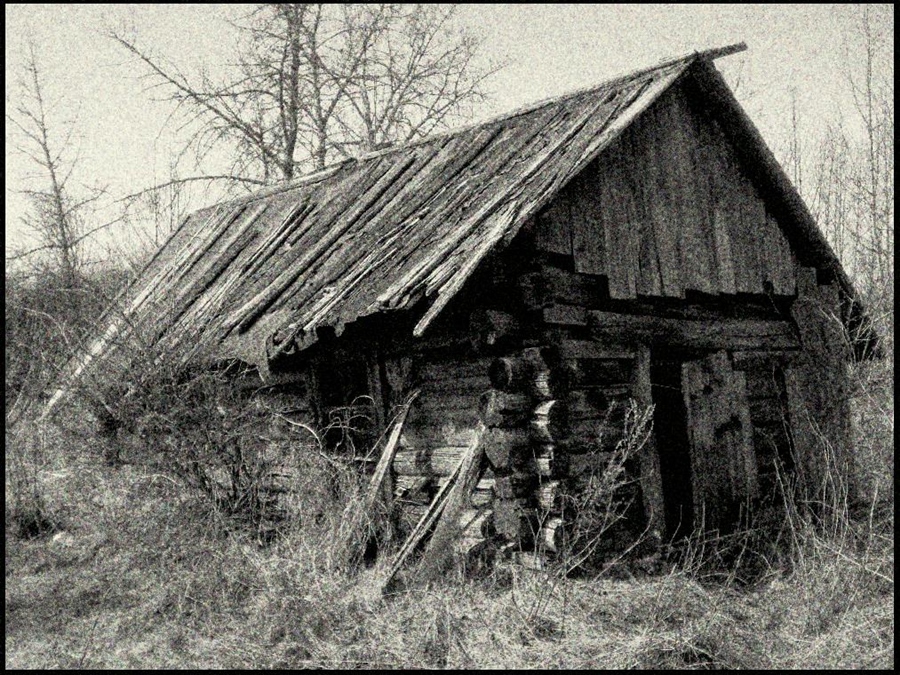 Фото жизнь