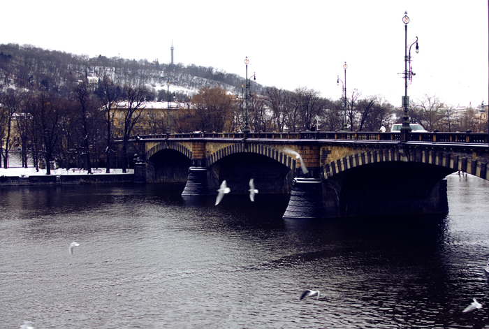 Фото жизнь (light) - Foren_Engeru - Travelling - Prague with birds and snow