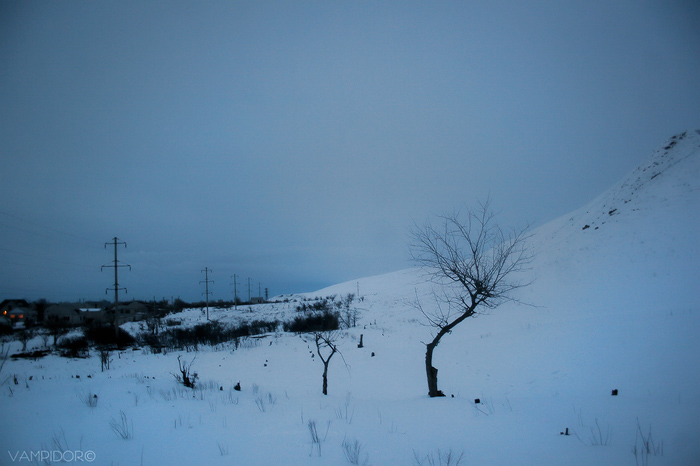 Фото жизнь (light) - Anahit - Природное - У подножья зимы 