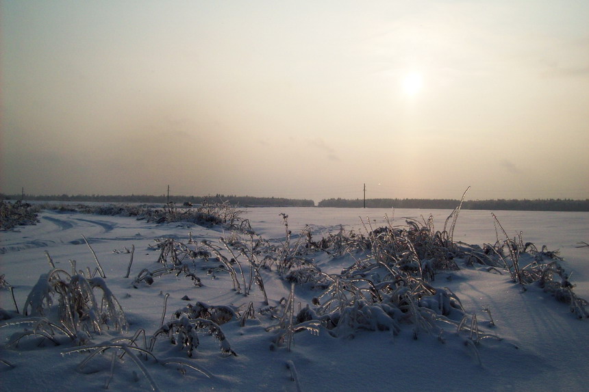 Фото жизнь