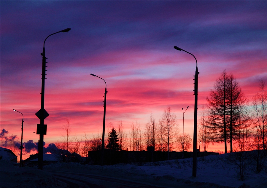 Фото жизнь