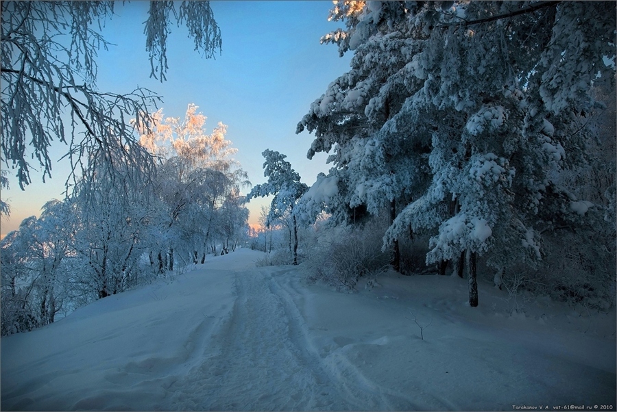 Фото жизнь