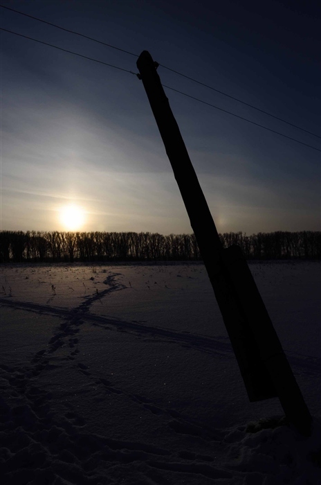 Фото жизнь