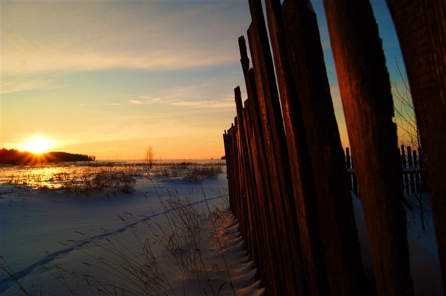 Фото жизнь