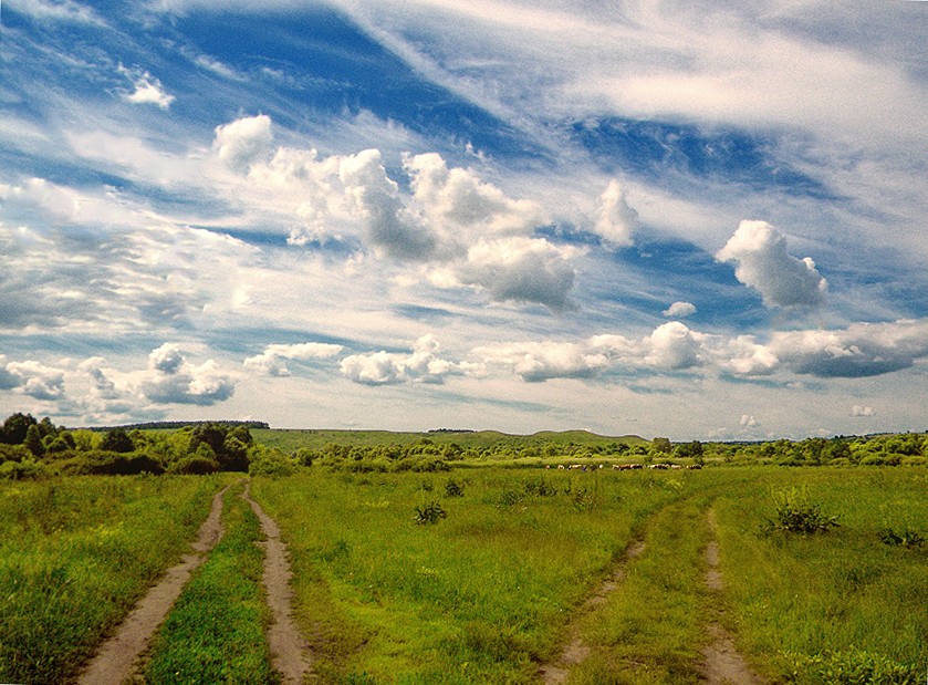 Фото жизнь