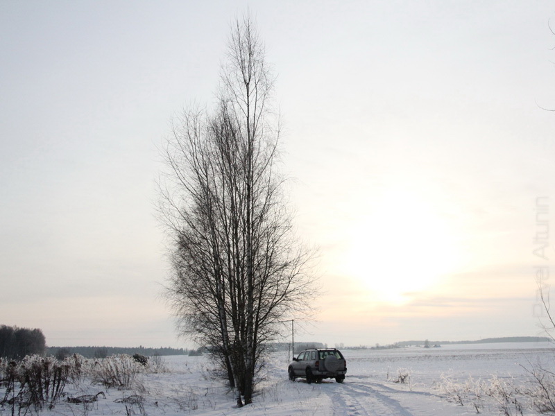 Фото жизнь - Павел Алтунин - Зима 2011 - Опушка