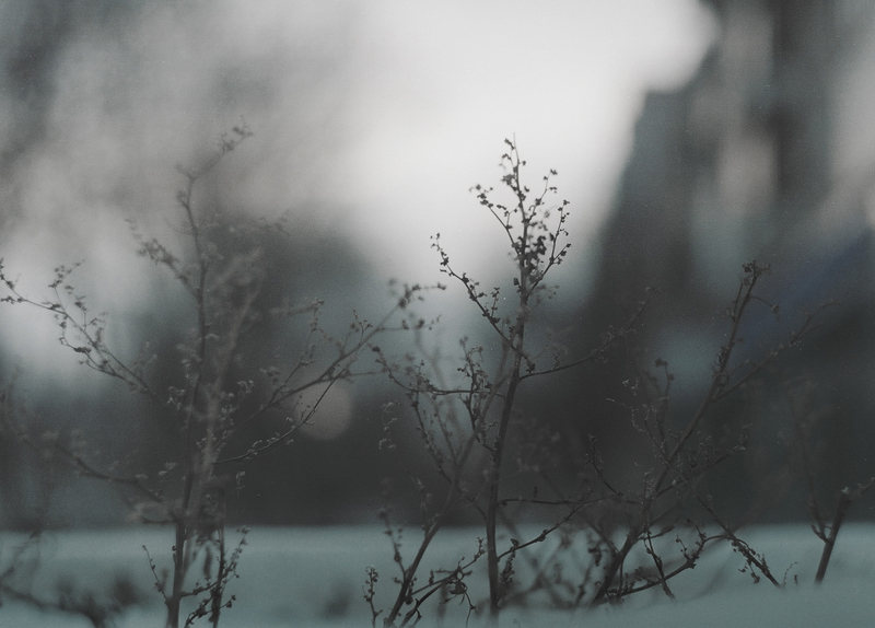 Фото жизнь (light) - SchizoiD - Nature - fading...