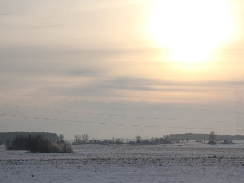 Фото жизнь (light) - Павел Алтунин - Зима 2011 - поле2