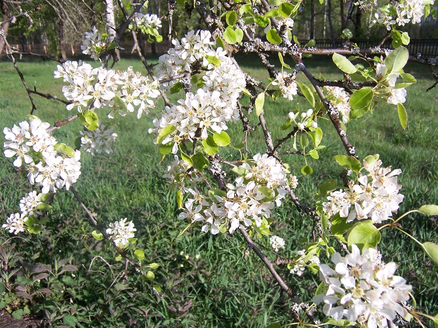 Фото жизнь