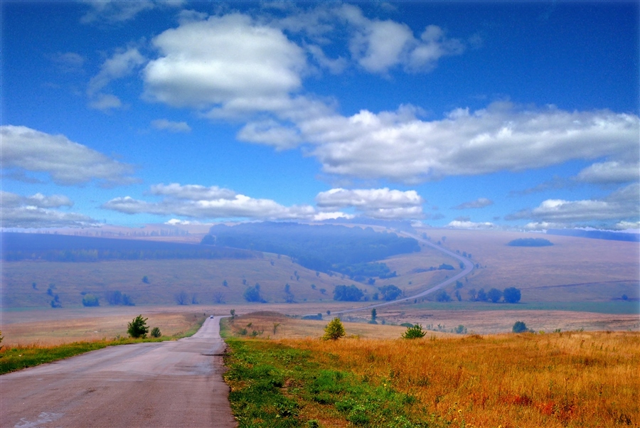 Фото жизнь