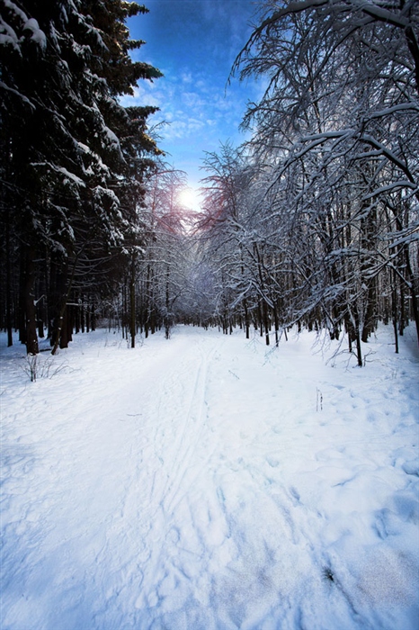 Фото жизнь