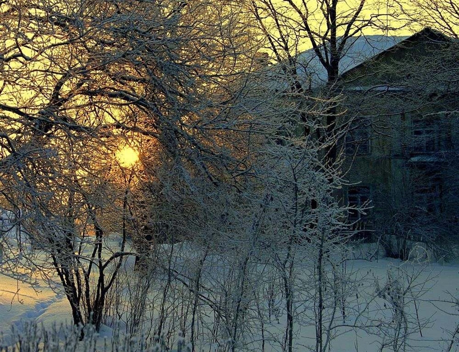 Фото жизнь
