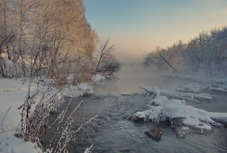 Фото жизнь
