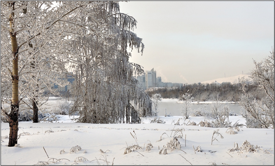 Фото жизнь