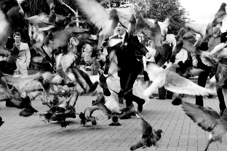 Фото жизнь (light) - Fluoriscent - корневой каталог - в полёте