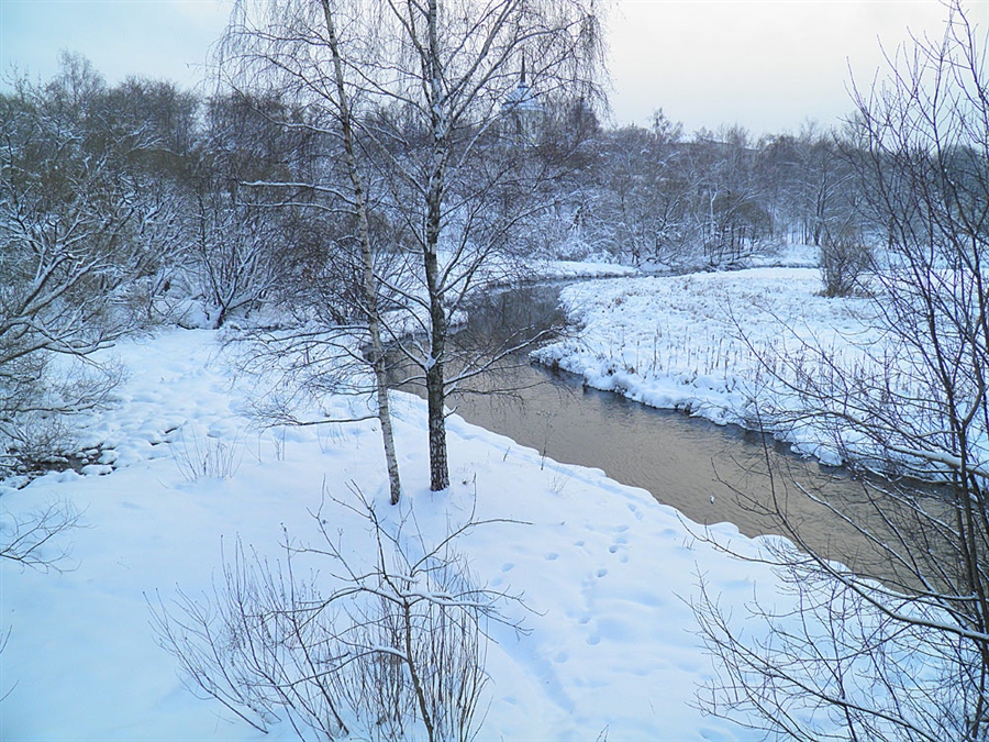 Фото жизнь