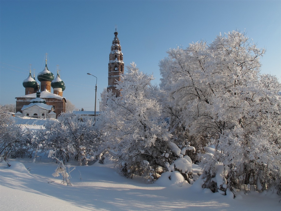 Фото жизнь