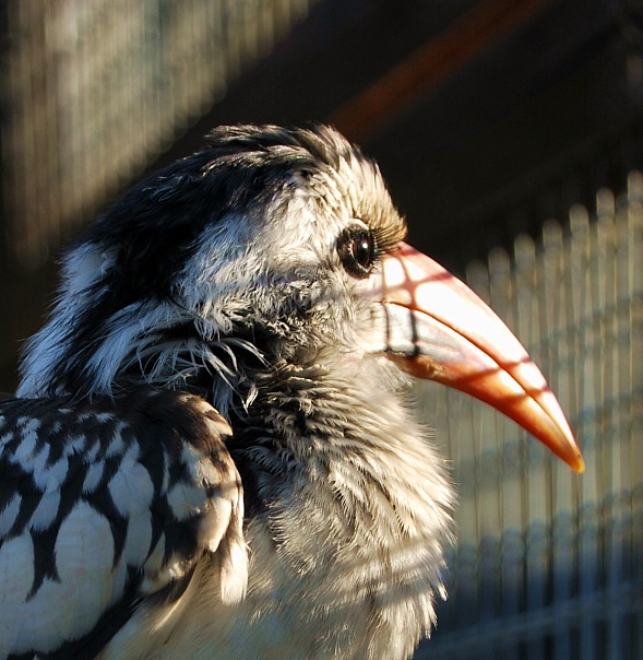 Фото жизнь (light) - Кира - корневой каталог - Реснички