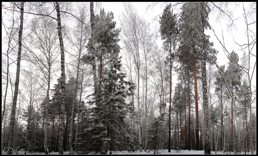 Фото жизнь