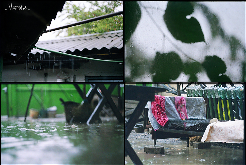 Фото жизнь (light) - Anahit - Зеленокумск - Дождь