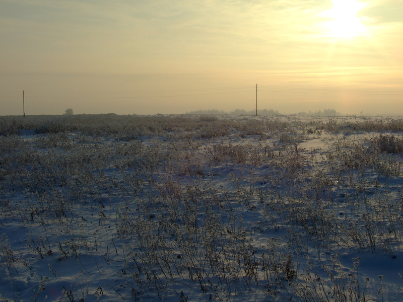 Фото жизнь (light) - xoma - корневой каталог - зимним утром 