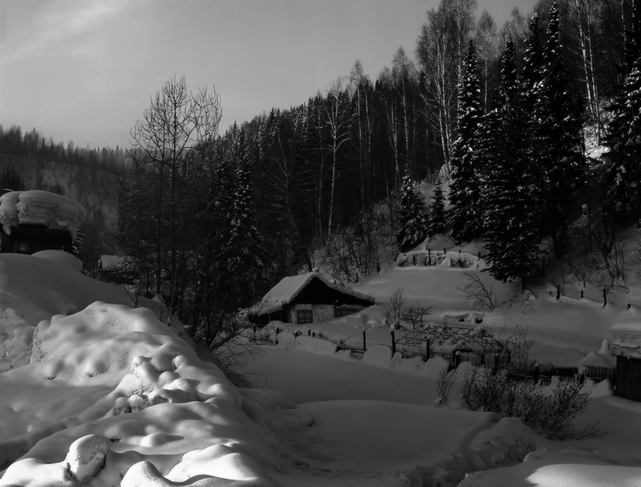 Фото жизнь