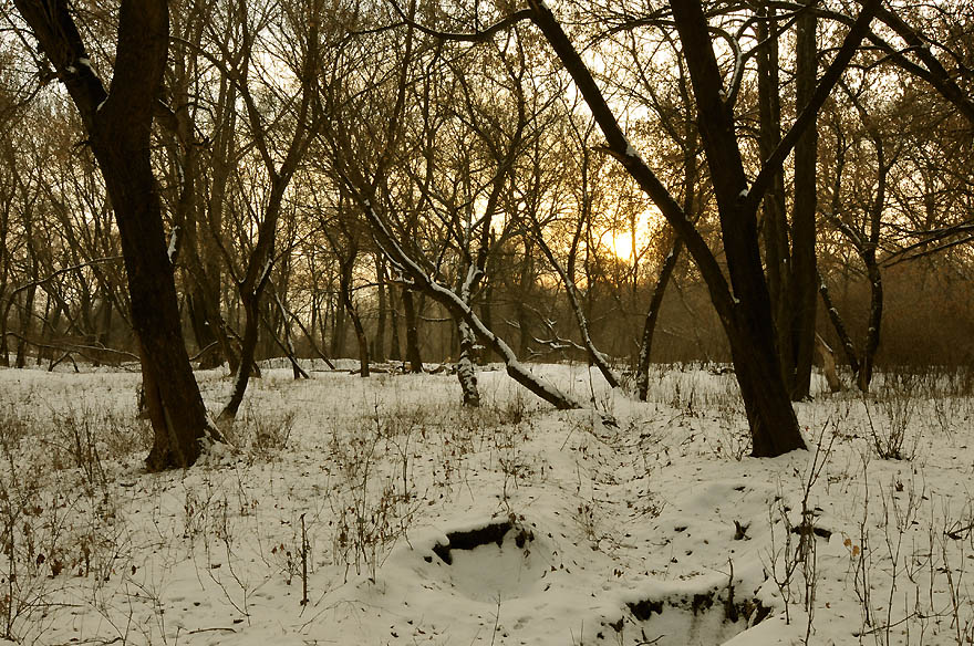 Фото жизнь - Валентин Карпенко - Пейзажи -               Зимний закат в старом парке