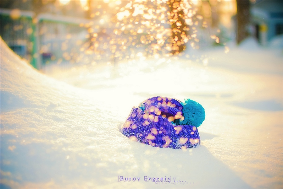 Фото жизнь