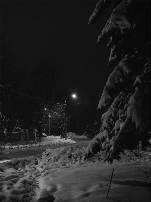 Фото жизнь