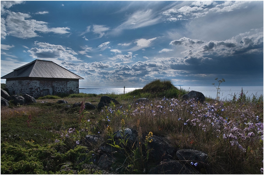Фото жизнь