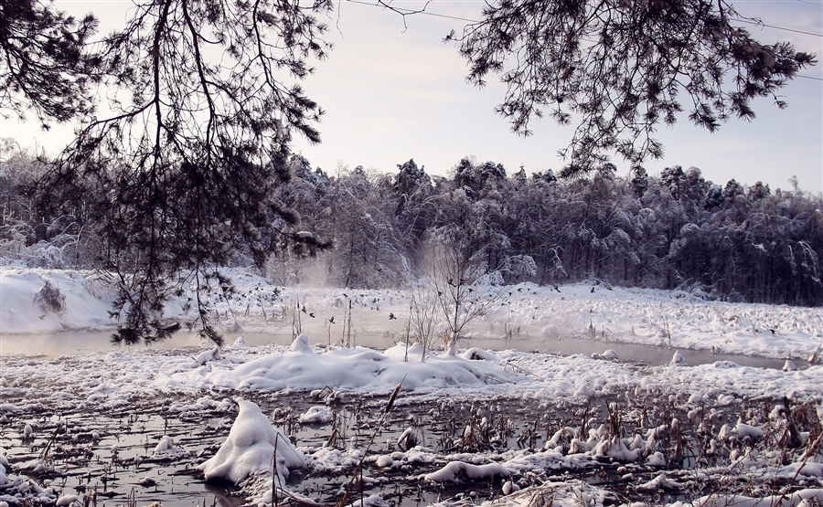 Фото жизнь