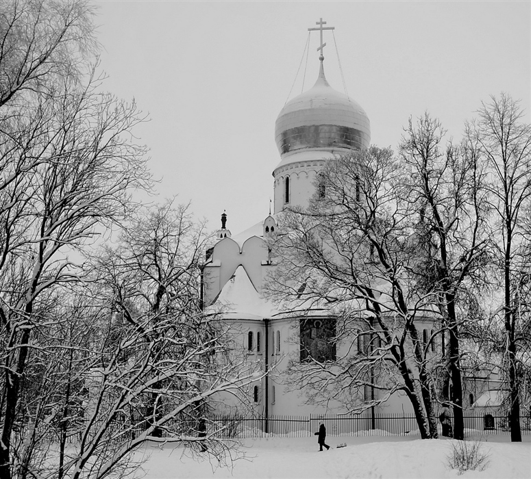 Фото жизнь
