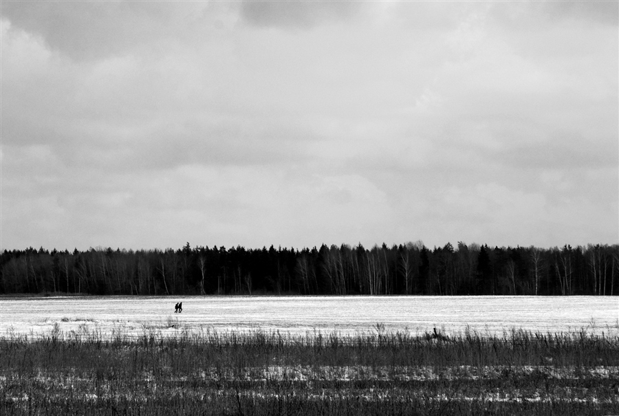 Фото жизнь