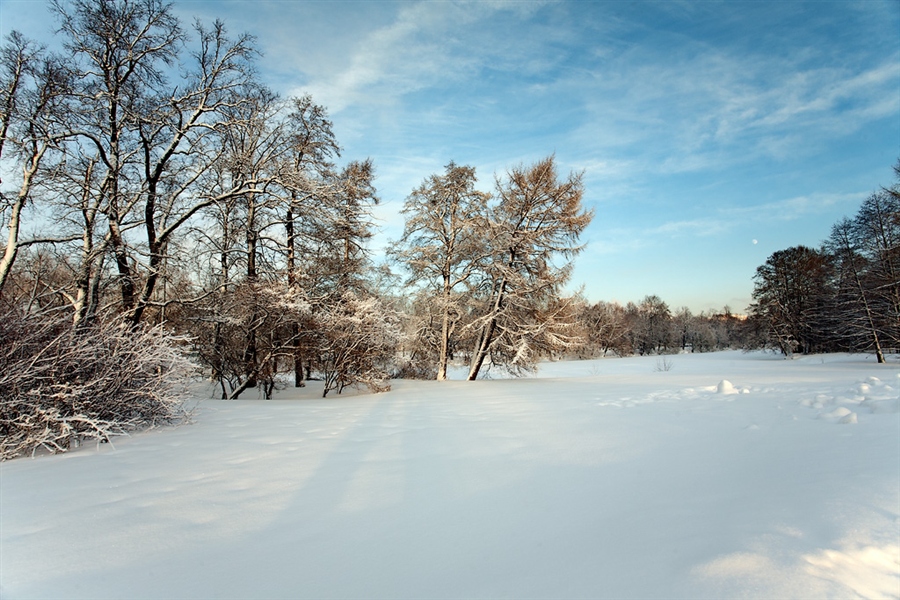 Фото жизнь