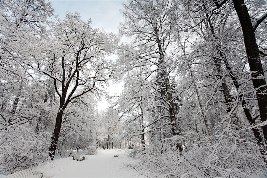 Фото жизнь