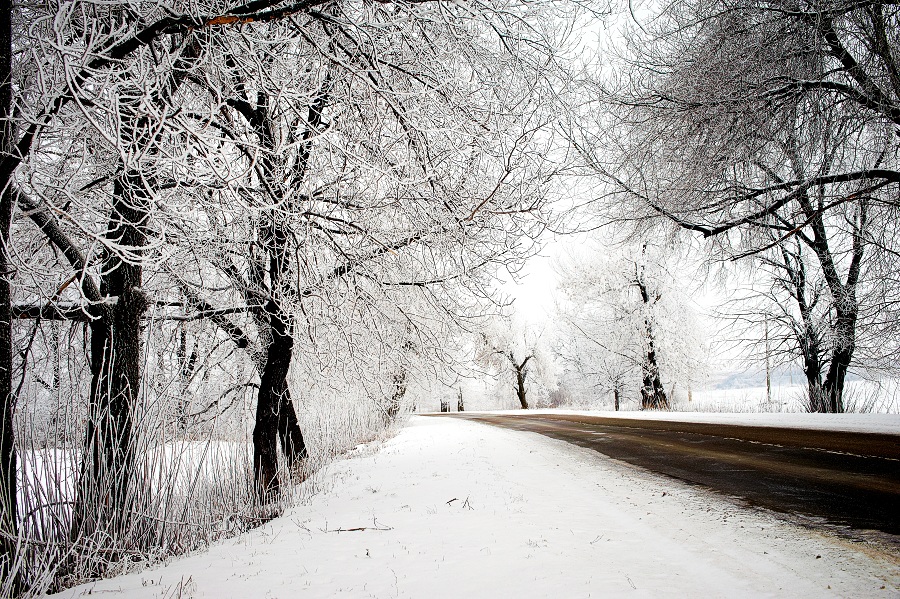 Фото жизнь (light) - kurdt - корневой каталог - Зима