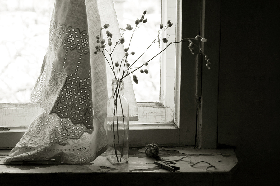 Фото жизнь (light) - Ольга Енаева - натюрморты,цветы - **