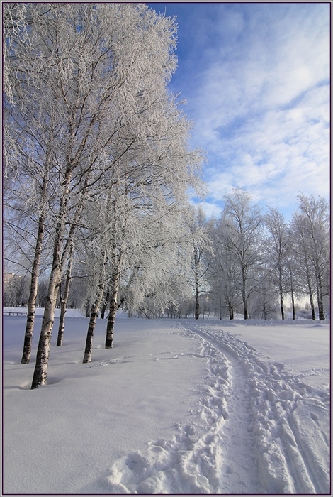 Фото жизнь